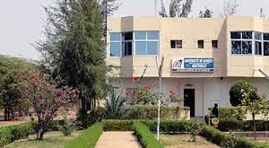 Grève à l’Université Alioune-Diop de Bambey suite à la mort d’un étudiant de l’UGB de Saint-Louis