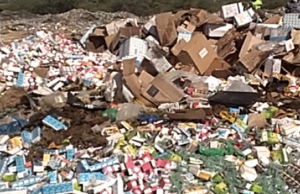 Saint-Louis : Une marchandise illicite d’une valeur de 260 millions F CFA incinérée