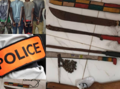 Mbacké : 5 cambrioleurs arrêtés par la police, 48 munitions, un fusil et des machettes saisis