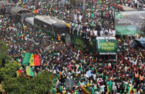 Parade des Lions : primes historiques et distinctions nationales pour les champions d’Afrique
