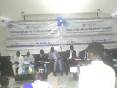 Repenser le droit à l’ère des mutations sociales : les juristes en quête d’un modèle enraciné dans les réalités africaines