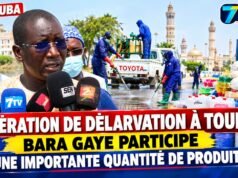 Touba : deuxième opération de désinsectisation, la DPV, Touba Ça Kanam et Bara Gaye de Média Afrique unissent leurs forces.
